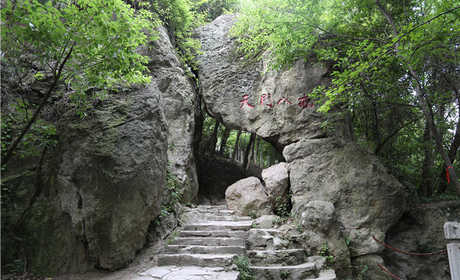 仅10元，享原价25元的【黄石】小雷山景区儿童门票。小雷山景区以旅游观光、养老养生为主题,景区内自然景观独具魅力。山上奇松怪石，胜景纷呈，石城、石炮、石浪、石狮别具一格；石屋、石床、石棺、石松鬼斧神工